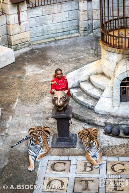 Félindra et ses tigres dans la Salle du Trésor(2021)