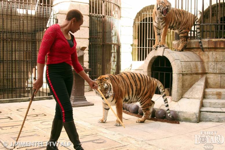 Félindra et ses tigres(2005)