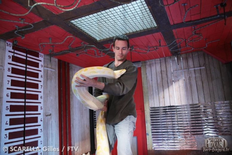 Karim met en place un python dans la Cellule qui rétrécit(2011)