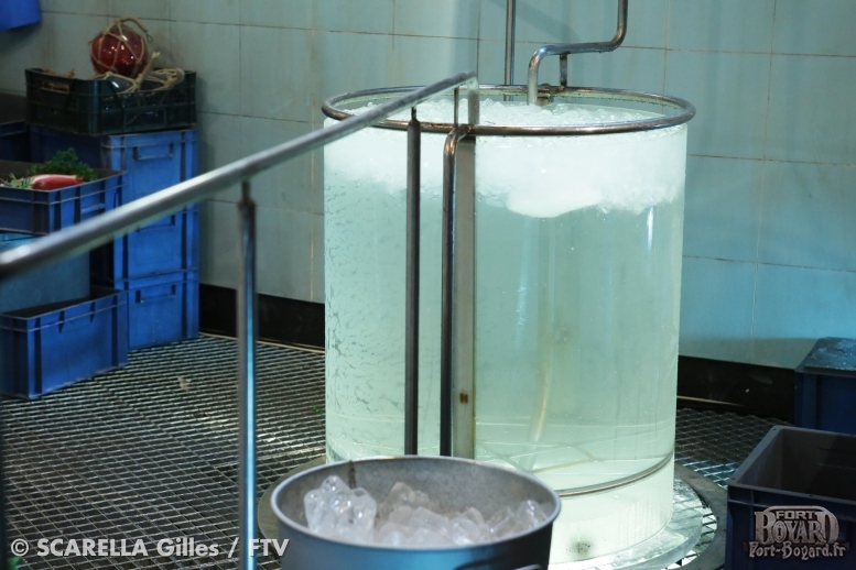 Une cuve remplie d'eau glacée dans la Chambre froide(2012)