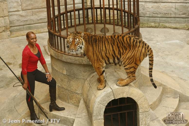 Félindra et un tigre dans la Salle du Trésor(2007)